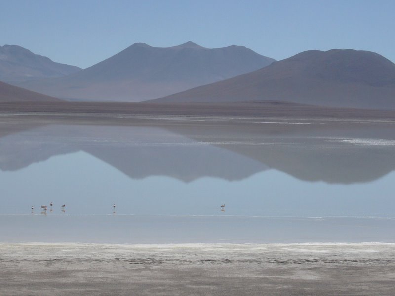 Laguna 5